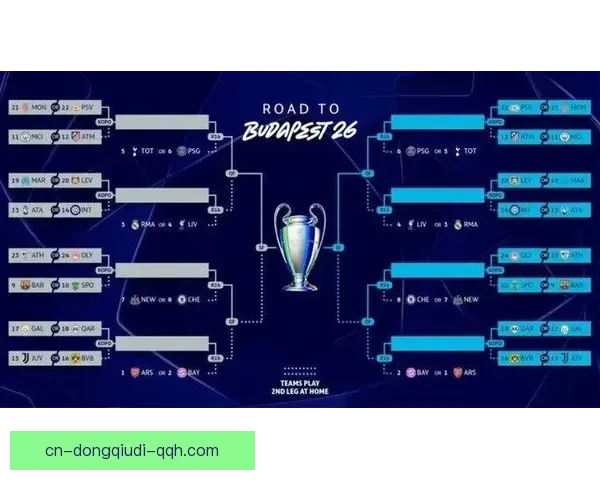 欧洲杯最新动态：赛事焦点、球员伤情与晋级形势全面分析