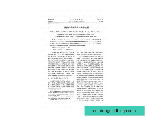 林古尔与根内拉逊在国际政治博弈中的策略对抗与深度解析 林古尔与根内拉逊在国际政治博弈中的策略对抗与深度解析